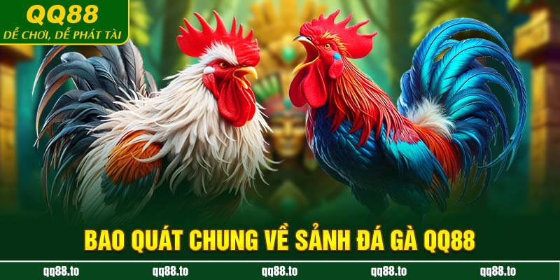 Bao quát chung về sảnh đá gà QQ88